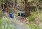 WATCH: Bear Sacks Tent in Yosemite Campground