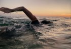 Woman Reaches Halfway Point on Swim Down California Coast