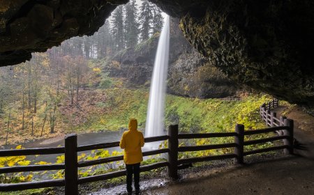 Man Falls From Waterfall After Crossing Barrier to Pose for Photo