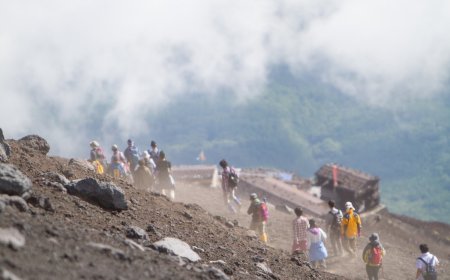 Father Abandons Young Son on Mount Fuji so He Could Summit