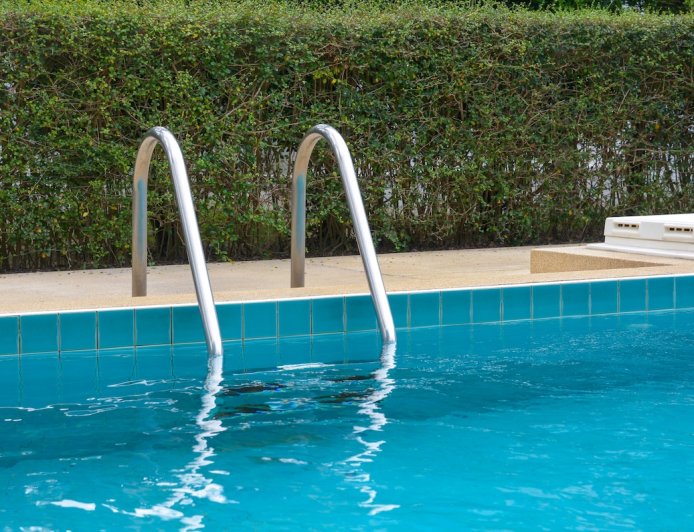 Black Bear Plays With Mermaid Dolls in Backyard Pool (Video)