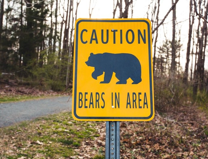 There Were Four Bear Attacks in Colorado Last Week