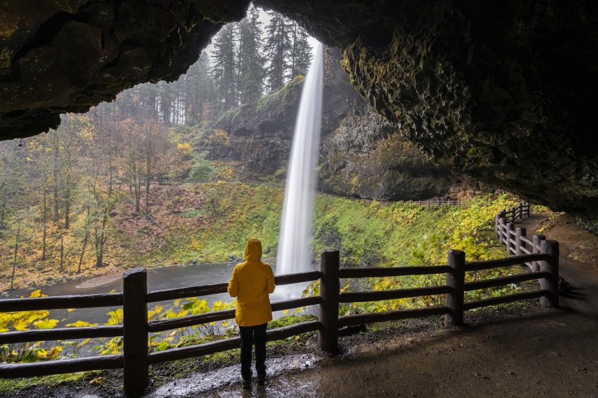 Man Falls From Waterfall After Crossing Barrier to Pose for Photo