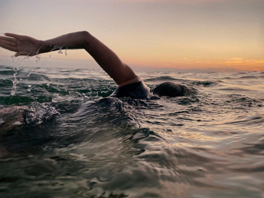 Woman Reaches Halfway Point on Swim Down California Coast