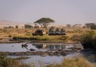 WATCH: Safari Vehicle With Tourists Loses Control in the Serengeti