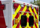 Mystery Animal Attacks Man in New Hampshire Parking Lot