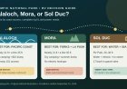 Kalaloch vs. Mora vs. Sol Duc: which Olympic campground works best for your RV?