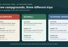 Blackwoods vs. Seawall vs. Schoodic Woods: Which Acadia campground fits your RV?
