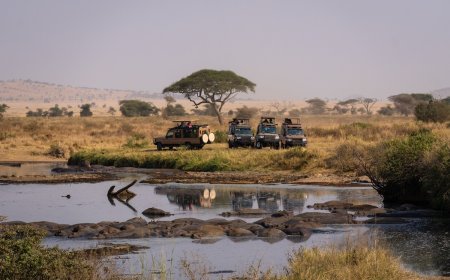 WATCH: Safari Vehicle With Tourists Loses Control in the Serengeti
