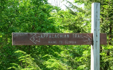 91-Year-Old Man Becomes Oldest to Hike the Appalachian Trail