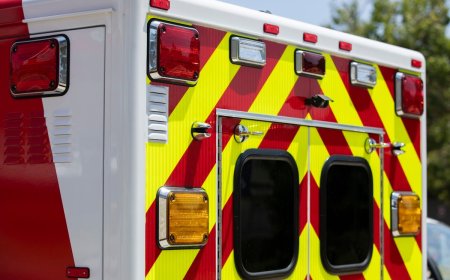 Mystery Animal Attacks Man in New Hampshire Parking Lot