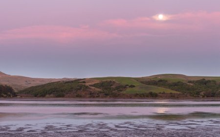 Two Friends Died During Midnight Canoe Trip in Tomales Bay
