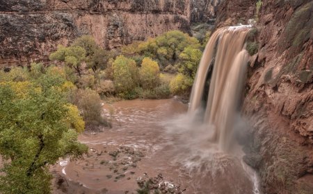 Survivors of Grand Canyon Flooding Share Harrowing Experience