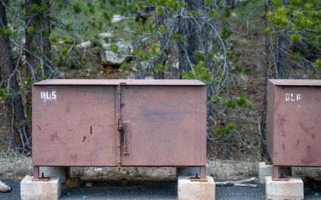 Engineer Designs Brilliant Sliding Shelf for Bear Boxes in Yosemite