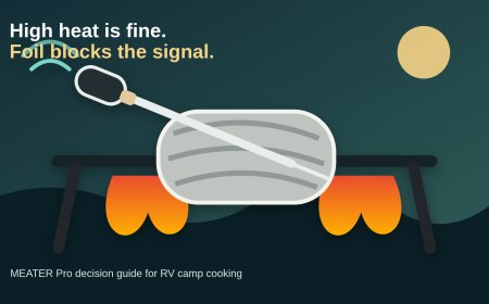 MEATER Pro review for RV camp cooking: high heat, but not through foil