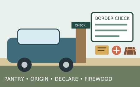 Crossing the U.S.-Canada border in an RV: audit the pantry and firewood first