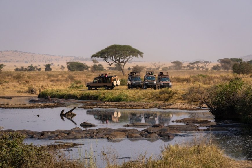 WATCH: Safari Vehicle With Tourists Loses Control in the Serengeti