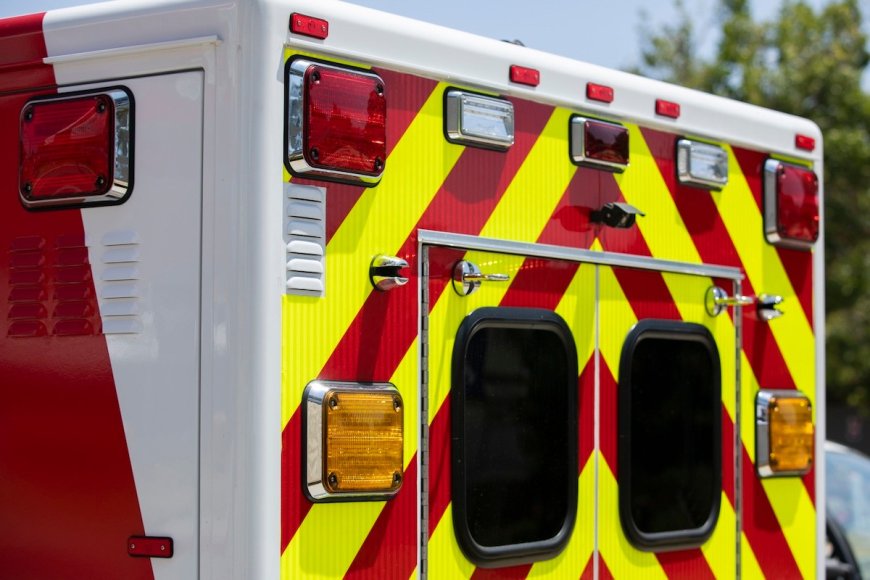 Mystery Animal Attacks Man in New Hampshire Parking Lot