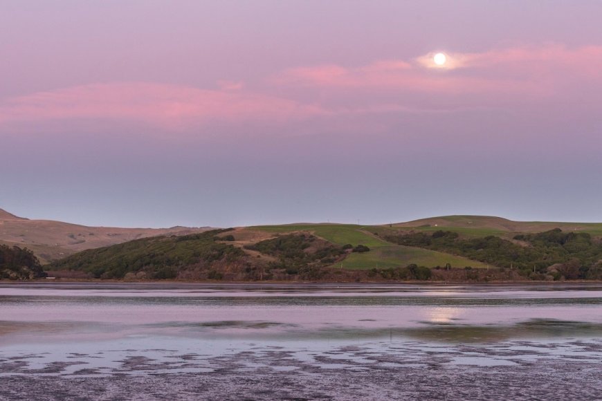 Two Friends Died During Midnight Canoe Trip in Tomales Bay