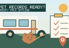 Before You Tow: Verify Campground Pet Rules and Pack the Right Records