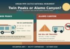 Twin Peaks vs. Alamo Canyon: the Organ Pipe RV choice is simpler than it looks