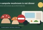 The mushroom beside your campsite is not dinner