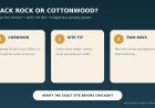 Black Rock or Cottonwood? Choose the Joshua Tree RV base that fits your route