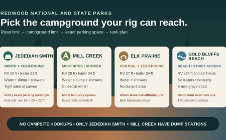 Jedediah Smith vs. Mill Creek vs. Elk Prairie vs. Gold Bluffs Beach: the RV-fit comparison