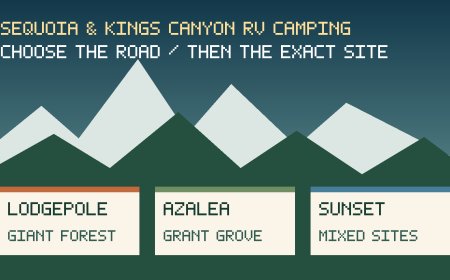 Lodgepole vs. Azalea vs. Sunset: which Sequoia and Kings Canyon campground fits your RV?