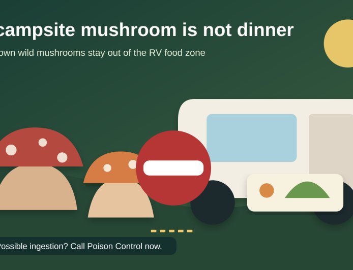 The mushroom beside your campsite is not dinner